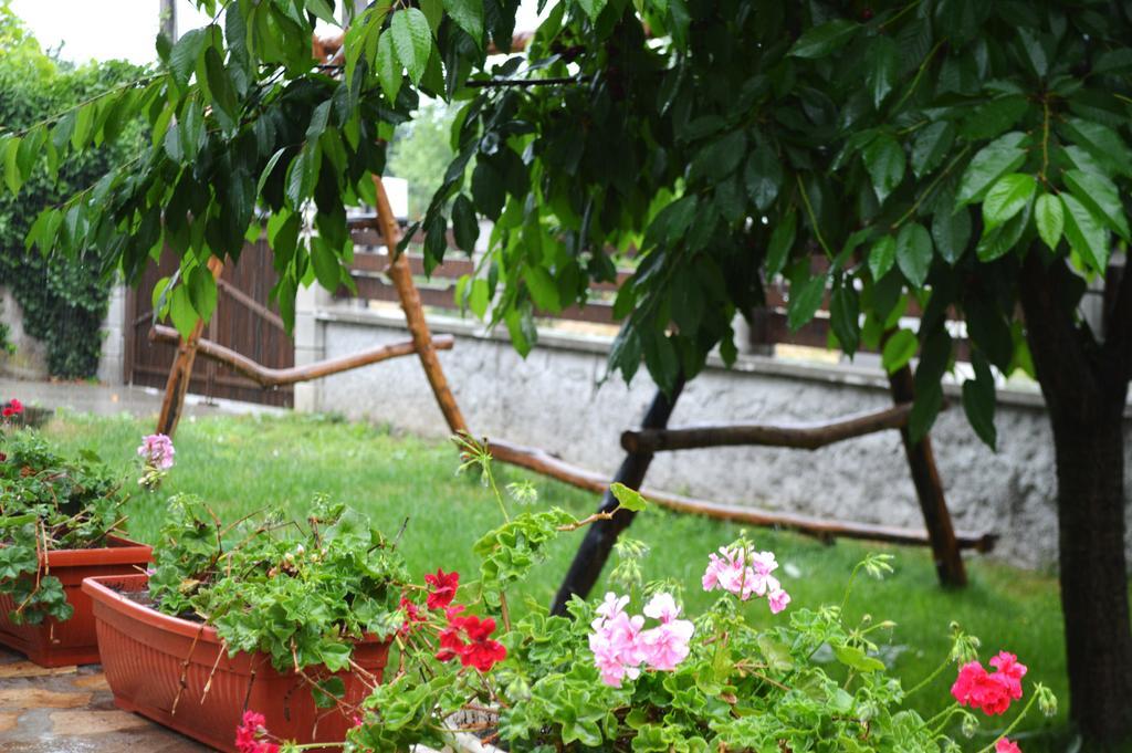 Guest House Sunrise Shabla Ruang foto