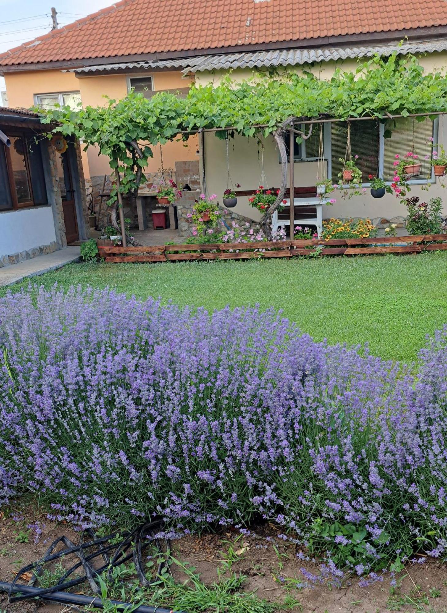 Guest House Sunrise Shabla Bagian luar foto